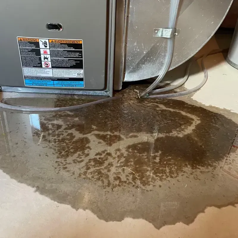 Appliance Leak Cleanup in Highlands-Baywood Park, CA